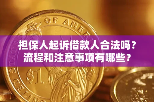 济南担保人起诉借款人合法吗？流程和注意事项有哪些？