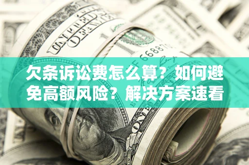 济南欠条诉讼费怎么算？如何避免高额风险？解决方案速看！