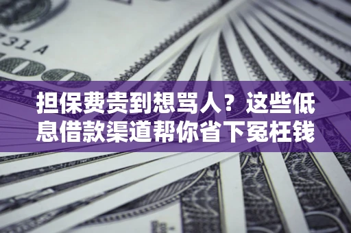 济南担保费贵到想骂人？这些低息借款渠道帮你省下冤枉钱