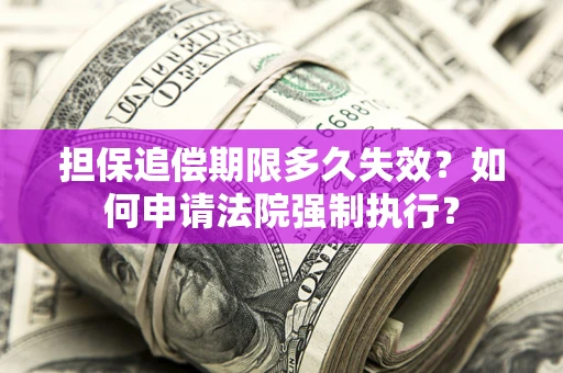 济南担保追偿期限多久失效？如何申请法院强制执行？