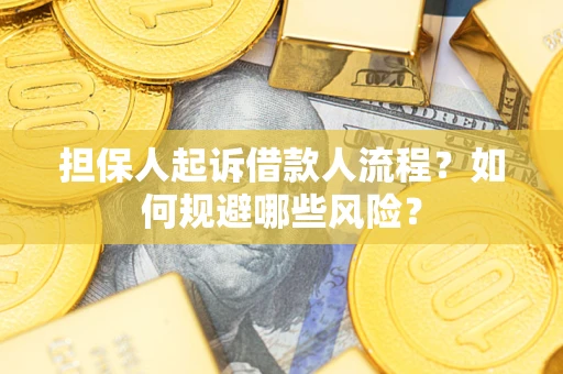 济南担保人起诉借款人流程？如何规避哪些风险？